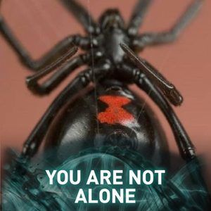 Meet your Posher, Jayne